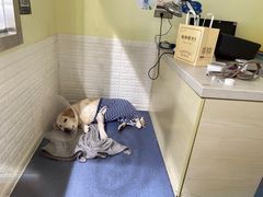 -瑞鹏宠物医院·爱宠堂(环西分院)