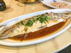 -张鸟园农家乐(张鸟园店)