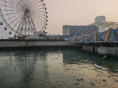 -琴岛之星摩天轮