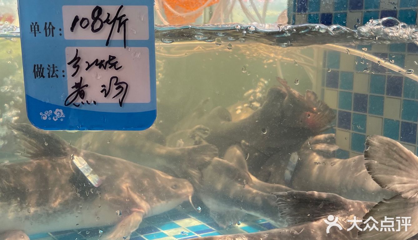 武汉吃鱼的天花板，胖胖渔村，做湖北鲜鱼馆33年