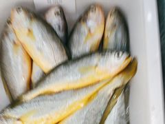 -梅子大排档