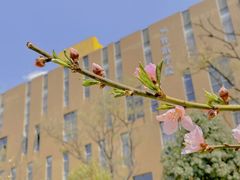 -云南艺术学院(呈贡校区)