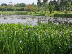 -华南国家植物园-售票处