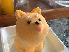 -柴犬高等学院·狗咖·柴犬售卖·宠物训练