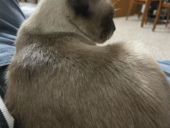 -荔康动物医院(康王北路店)