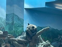-武汉动物园