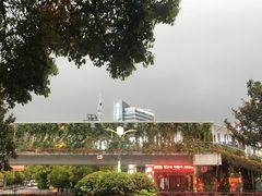 -张氏父子常德肠子馆(红星总店)
