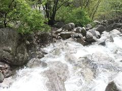 -尧山风景区
