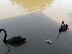 -宁波杭州湾国家湿地公园
