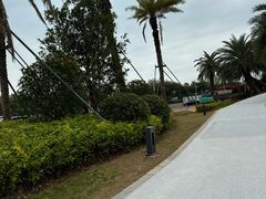 -厦门国际会议中心酒店(环岛路酒店)