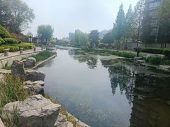 -丁家河公园