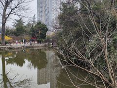 -西苑公园