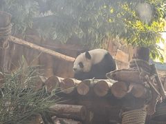 -泉州海丝野生动物世界