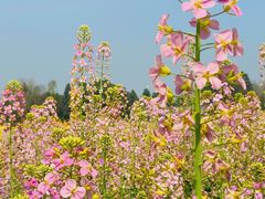 -中国天府农业博览园