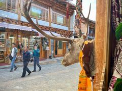 -银同牦牛肉火锅