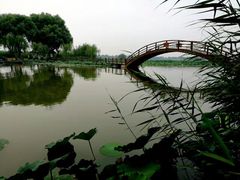 -白洋淀景区