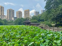 -龙头寺公园