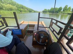 -合肥滨湖国家森林公园