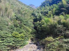 -长谷洞天