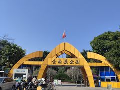 -金花茶公园