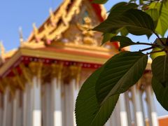 -洛阳白马寺