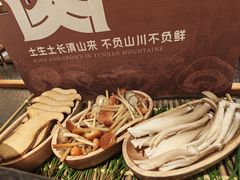 -季季山·云南野生菌火锅(上海首店)