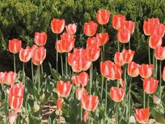 -万象影城(石家庄万象城IMAX激光店)