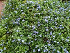 -中国天府农业博览园