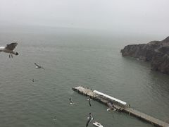 -海驴岛(荣成市)