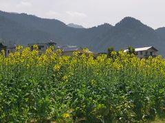 -狮子关旅游区
