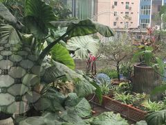 -屋顶花园餐厅(步行街老地王大厦店)