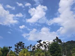 -重庆海昌加勒比海水世界