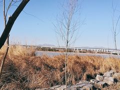 -绿堤公园