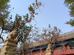 -北京石刻艺术博物馆(五塔寺)