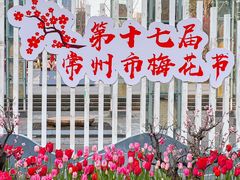 -红梅公园