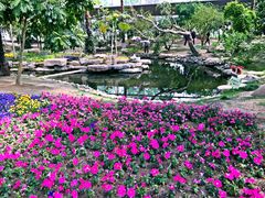 -南通洲际绿博园