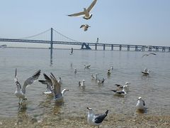 -星海广场