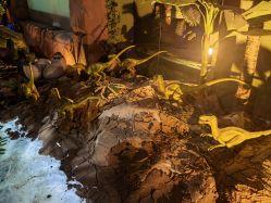 -恐龙探索乐园(磁器口店)