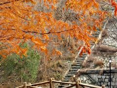 -白水寺森林公园