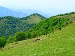 -北京灵山风景区