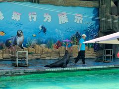 -合肥野生动物园