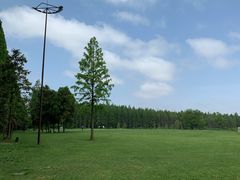 -黄海国家森林公园