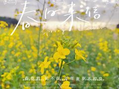 -光明小镇欢乐田园