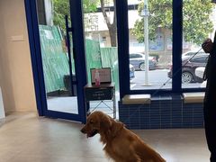 -伟伟宠物医院·CT影像中心·瑞派犬猫综合性门诊(汉口总院)