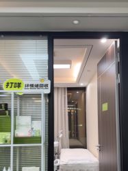 -凡碧诗毛孔清洁收细