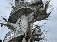 -芒洲湿地公园
