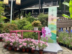 -虞山城墙