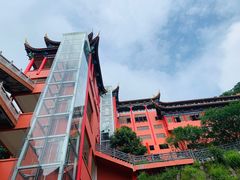 -东莞市大岭山森林公园