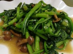 -祝家饺子馆