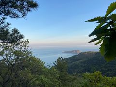 -棒棰岛宾馆景区